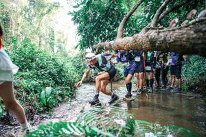 BIB: 
                            <button type="button" onclick="openModal(25475540)" class="btn btn-primary btn-sm float-right btn-popup" data-toggle="modal" data-target=".modal-high-quality">
                        <i class="fas fa-shopping-cart"></i> Add to Cart
                    </button>
                                            <button type="button" onclick="isThisMe(25475540, true)" class="btn btn-success btn-sm float-right btn-popup btn-isme hidden" data-toggle="tooltip" data-placement="bottom" title="นี่คือรูปของคุณใช่ไหม คลิกที่นี่เพื่อเอาเข้าอัลบั้ม">
                        <i class="fas fa-plus"></i> Add to album
                    </button>
                    <button type="button" onclick="isThisMe(25475540, false)" class="btn btn-warning btn-sm float-right btn-popup btn-isnotme hidden">
                        <i class="fas fa-ban"></i> Remove from album
                    </button>